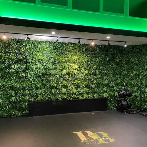 WhatsApp Image 2025-12-03 at 16.30.15